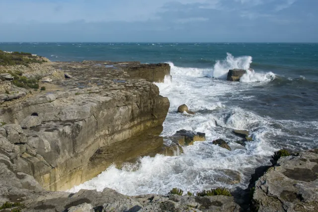 South West Coast Path - Dorset — photograph 12
