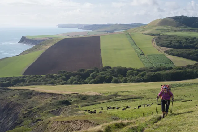 Immaculate farmed land at Elton Seat