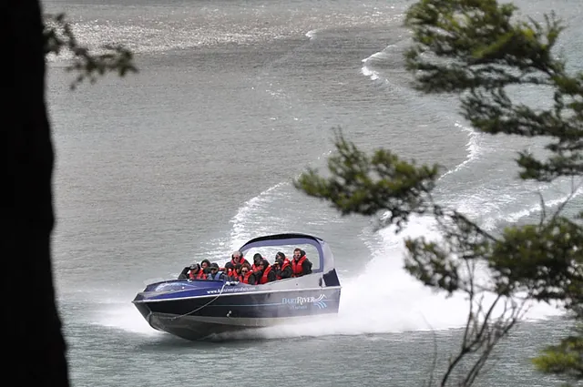 The jet boats fly up and down the river in a bid to try and excite (what look to be fairly miserable) paying passengers