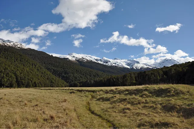 The beauty part about these back country walks (as opposed to the NZ Great Walks) is that you'll be lucky to pass another soul all day. A proper wilderness experience!