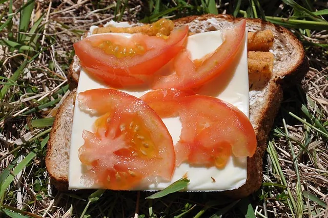 Cheese, tomato and crisp sandwich - not bad for camping fodder!