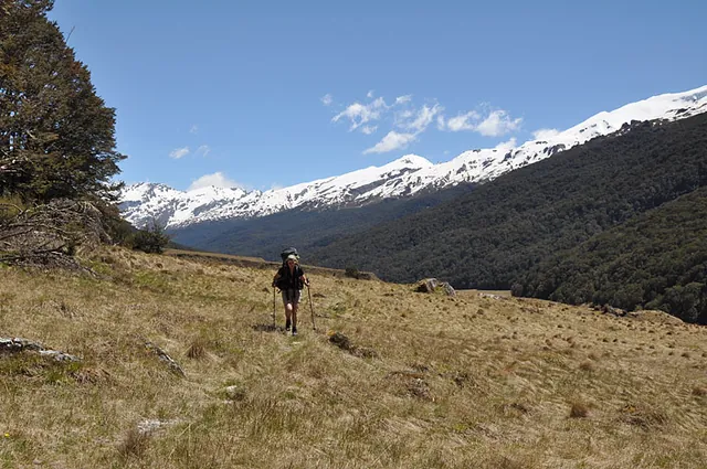 Cattle Flat went on forever. The side-streams create a lot of ups and downs, so not that flat in reality