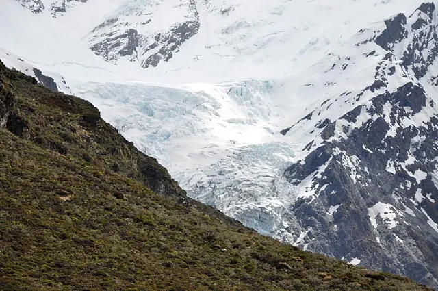 Our first sighting of some glacier action, although further to go to see the Dart Glacier