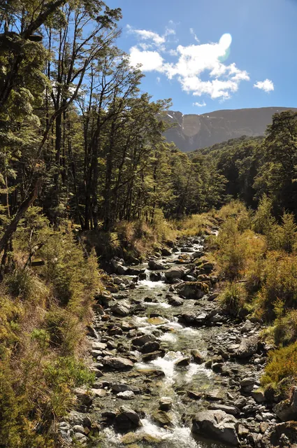 Routeburn Track — photograph 7