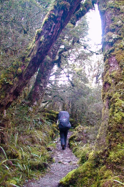 Routeburn Track — photograph 103