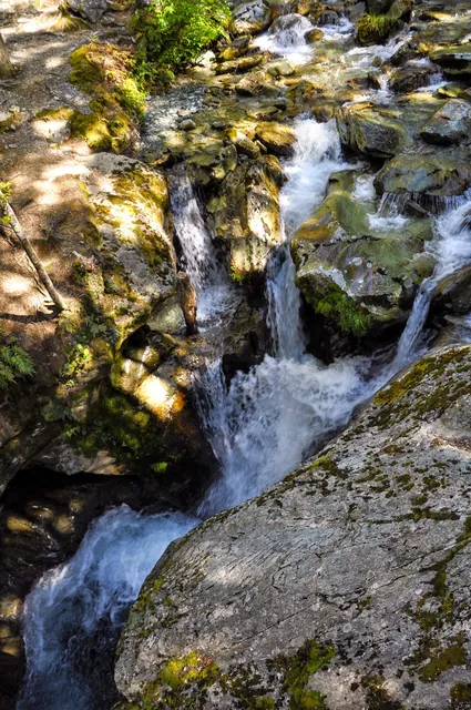 Routeburn Track — photograph 11