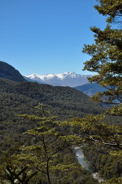 Occasional openings in the forest sections reveal stunning mountain vistas