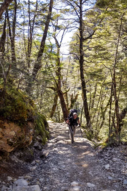 Routeburn Track — photograph 13