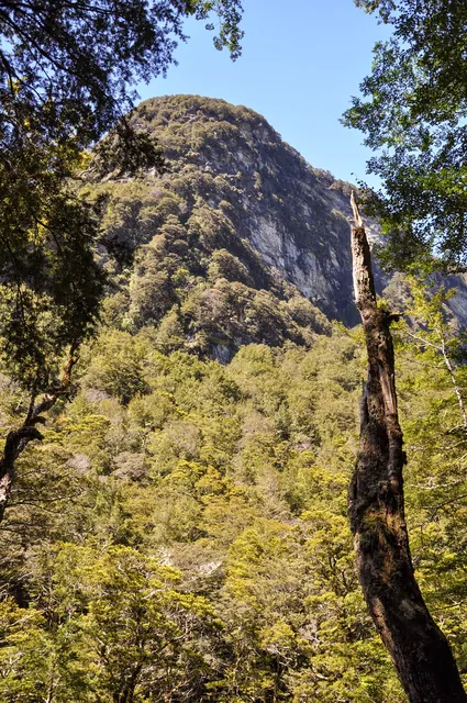 Routeburn Track — photograph 14
