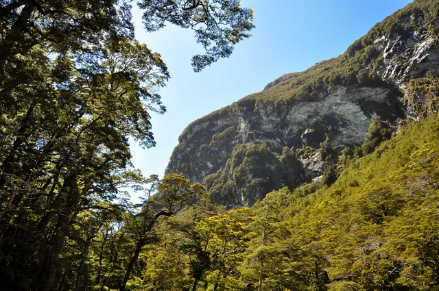 Routeburn Track — photograph 20