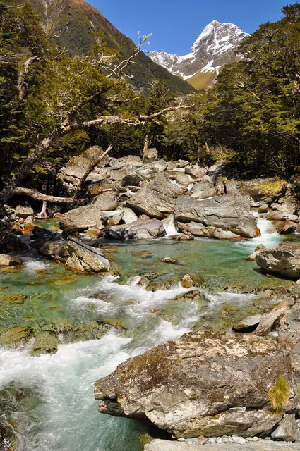 Routeburn Track — photograph 22