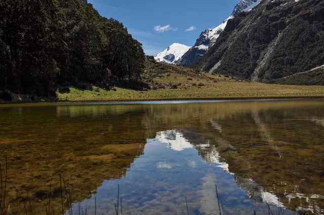 Routeburn Track — photograph 32