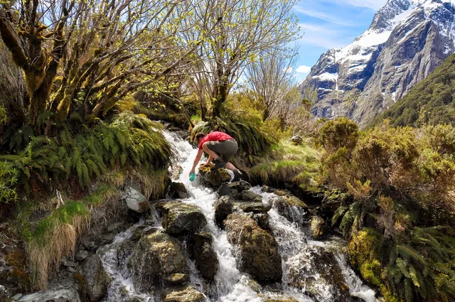 Water bottle refill - no need for purification on the Routeburn