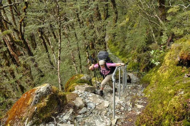 Routeburn Track — photograph 50