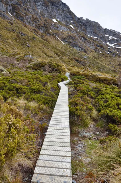 Routeburn Track — photograph 60