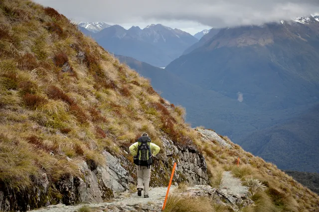 Routeburn Track — photograph 86
