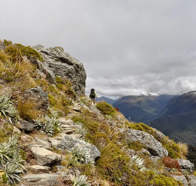 Routeburn Track — photograph 89