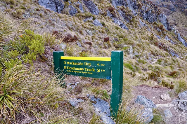 Routeburn Track — photograph 90