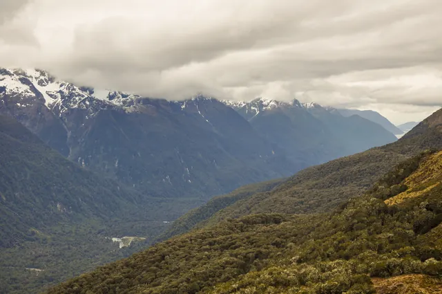 Routeburn Track — photograph 94