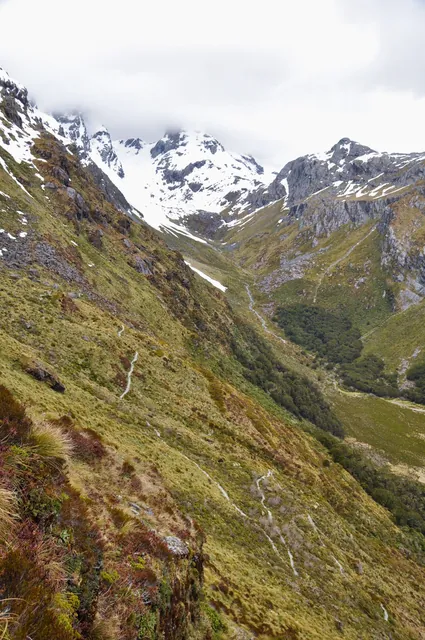 Routeburn Track — photograph 97