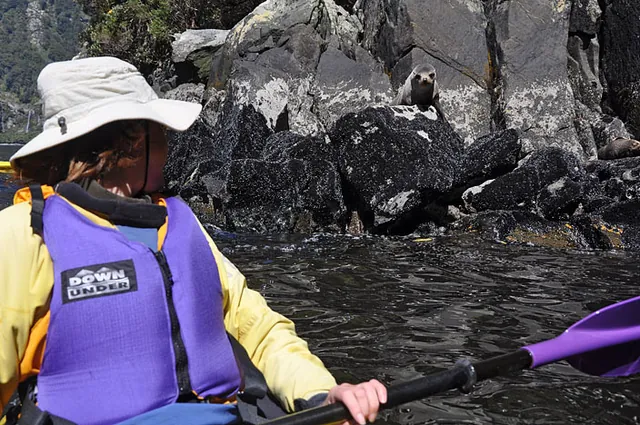 Gill loves seals so this was the perfect start for her