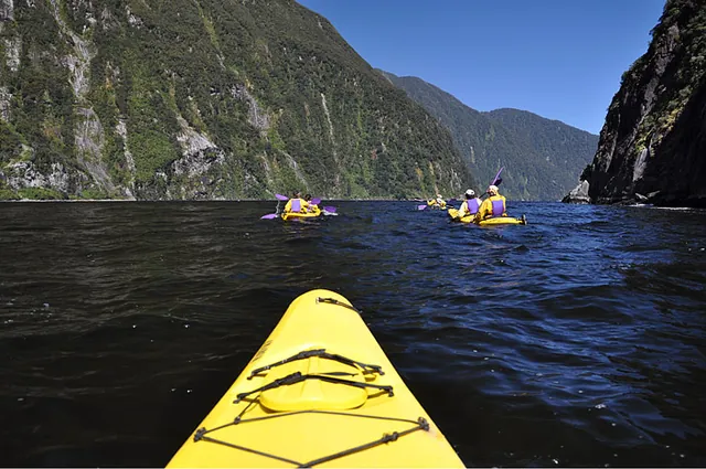Milford Sound Kayaking — photograph 15