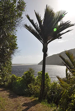 The coast comes into view! It felt great to have walked this far and be rewarded with a complete scenery change