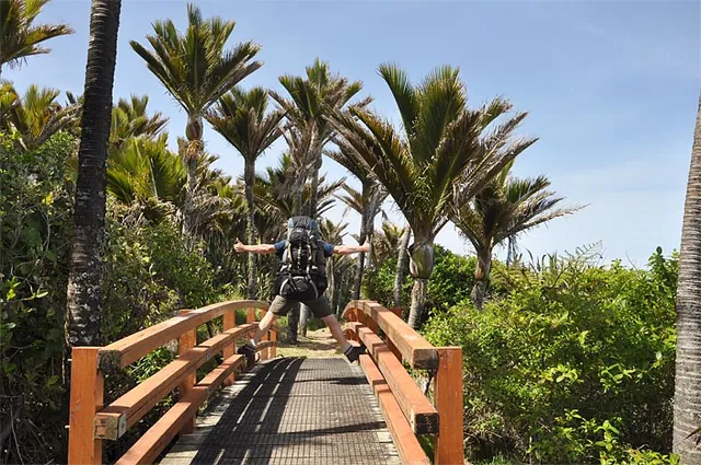 Heaphy Track — photograph 113