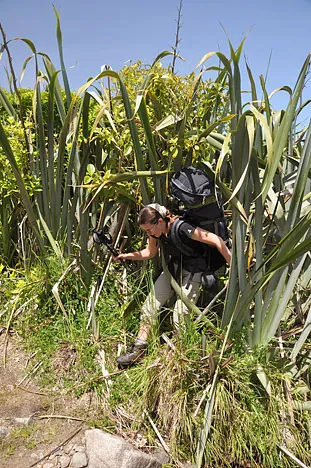 Hiking the beaches meant there were a few bush climbs needed to get back on the track