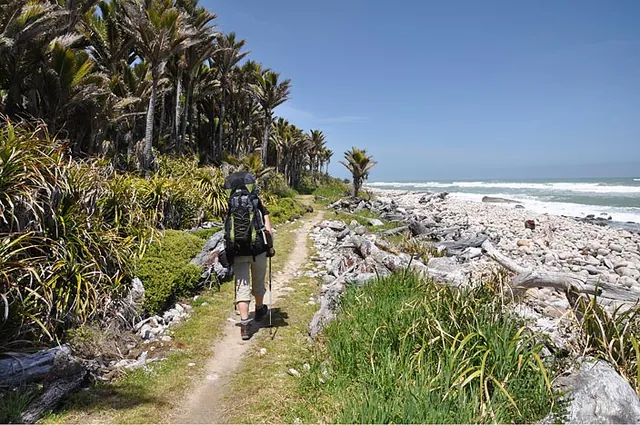 Heaphy Track — photograph 123