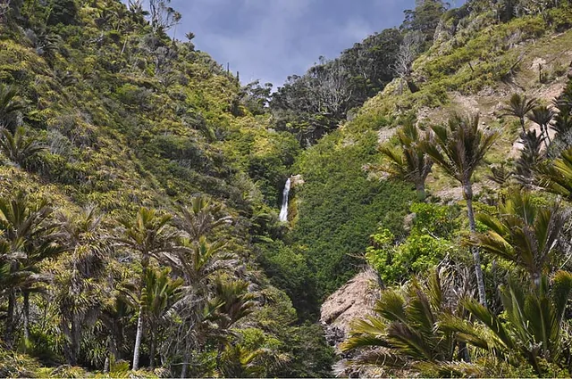 Heaphy Track — photograph 128
