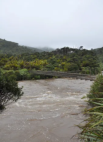 After wading through knee-deep water at the end of our short morning walk, we reach the very swollen river approaching the trail end