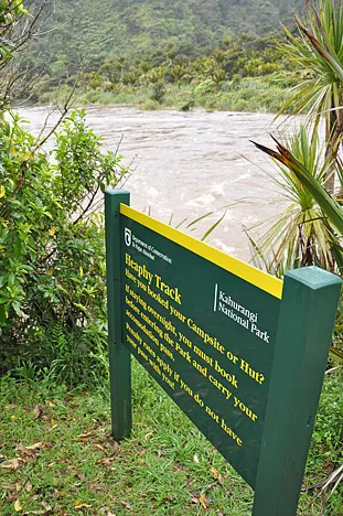 Heaphy Track — photograph 140