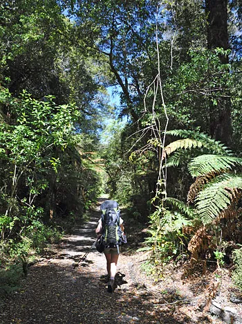 Heaphy Track — photograph 18