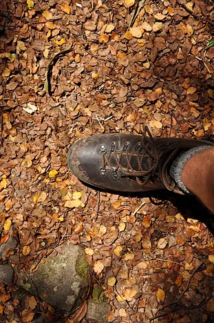 Love walking on the beech leaves. Softens an otherwise rock hard path