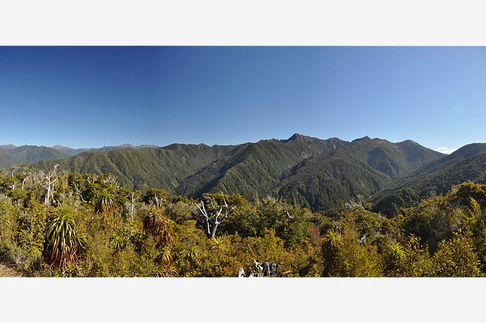 Heaphy Track