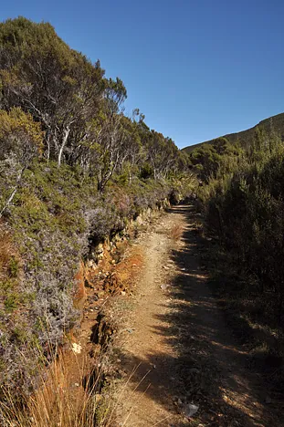 Heaphy Track — photograph 38