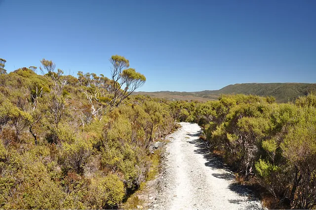 Heaphy Track — photograph 40