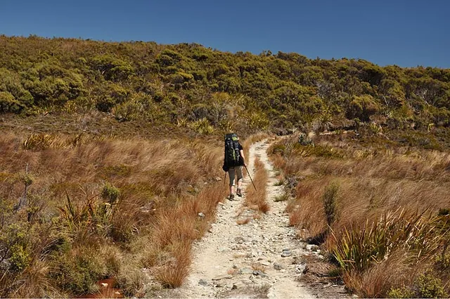 Heaphy Track — photograph 43