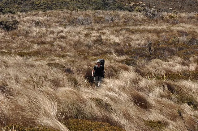The tussock downs were very blustery. A nice relief given the heat of the day