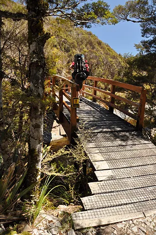 Heaphy Track — photograph 48