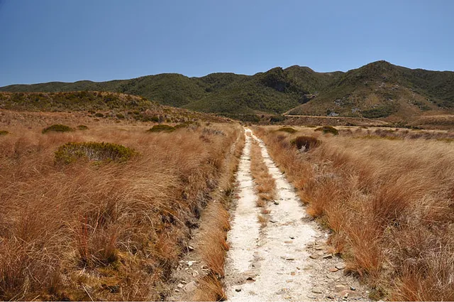 Easy walking on these tracks. The long distances are easily covered.