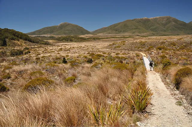 Spectacular vistas across Gouland Downs