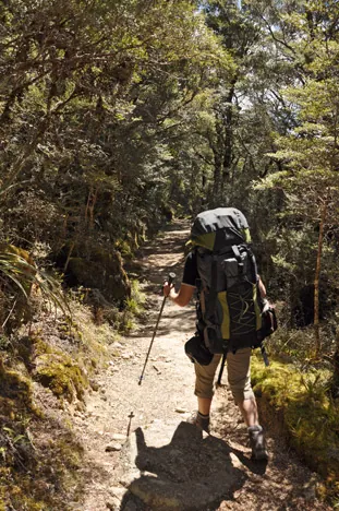 We decided to continue after working out the math. Since we can't camp at Lewis Hut, this would have resulted in a 30km  day tomorrow.