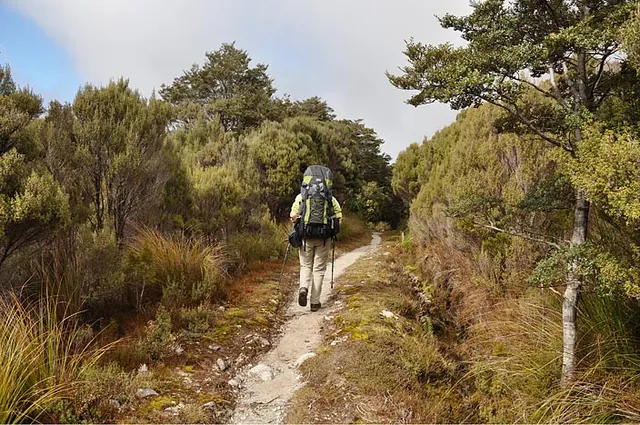 Heaphy Track — photograph 69