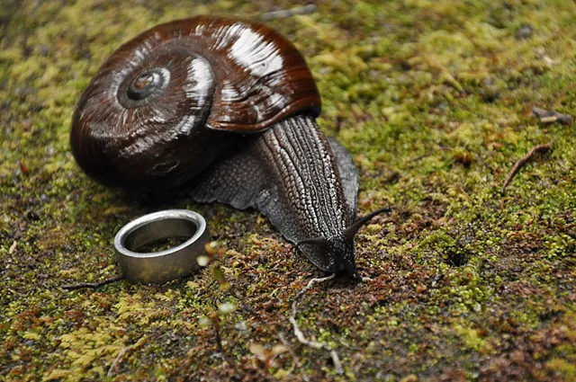 I had to put my wedding ring down to give a sense of scale