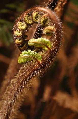 Slow unfolding