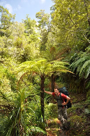 Heaphy Track — photograph 79