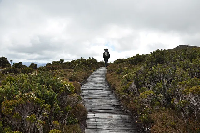 Some sections were very reminiscent of hiking the Overland Track