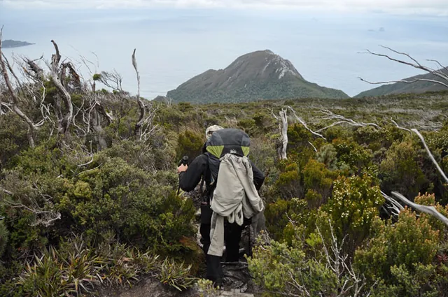 South Coast Track — photograph 119